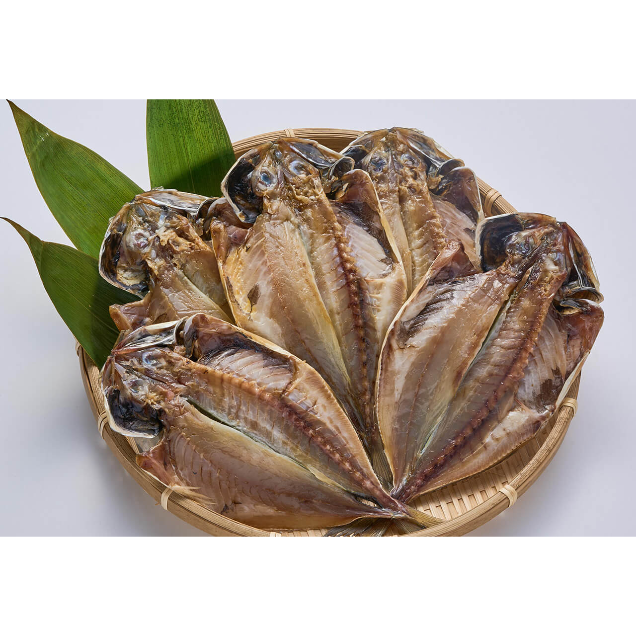 アジ 5枚セット